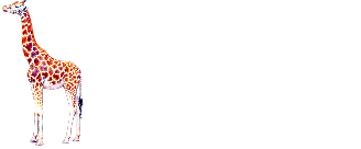 Giraffe — Элитное экскорт-агентство в Иркутске